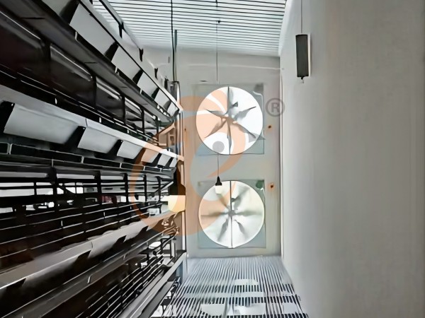poultry house ventilation 2 (2)