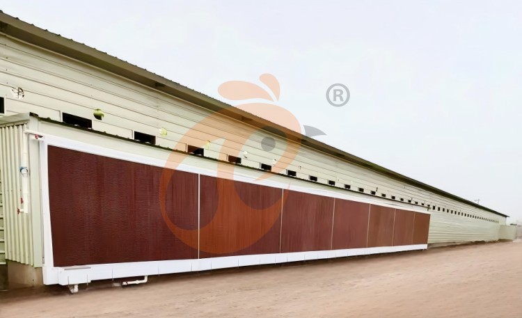 wetted pad (3) wetted pad (3)