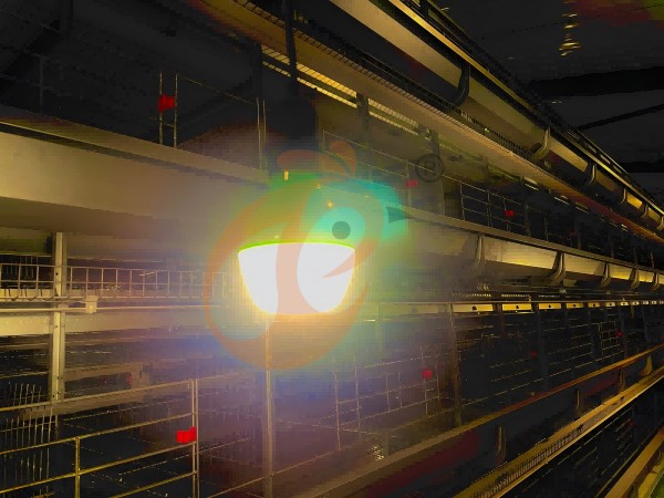 poultry house light (1)