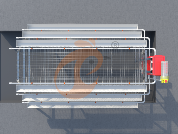 Quelles sont les exigences d'installation pour un système de cage à poules de type A en Éthiopie ? 6 directives claires