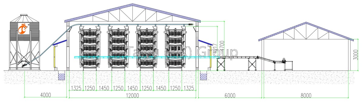 50000 layer chicken house drawing (1)