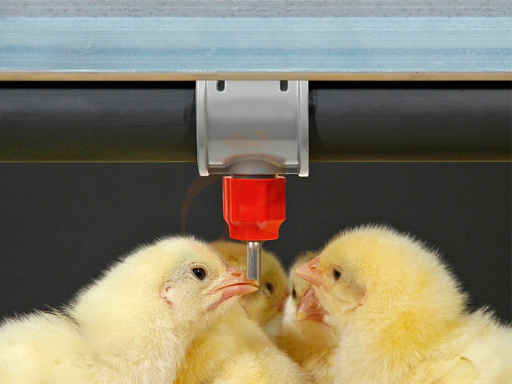 7 méthodes pratiques pour prolonger la durée de vie des abreuvoirs à pipette