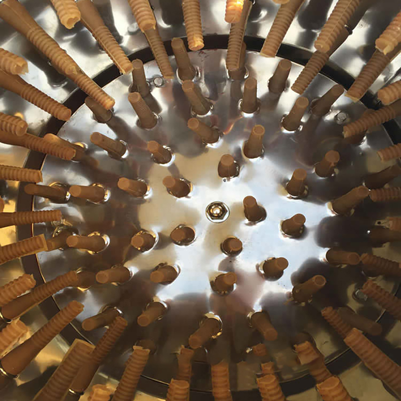 5 Oiseaux à la fois machine à déplumer