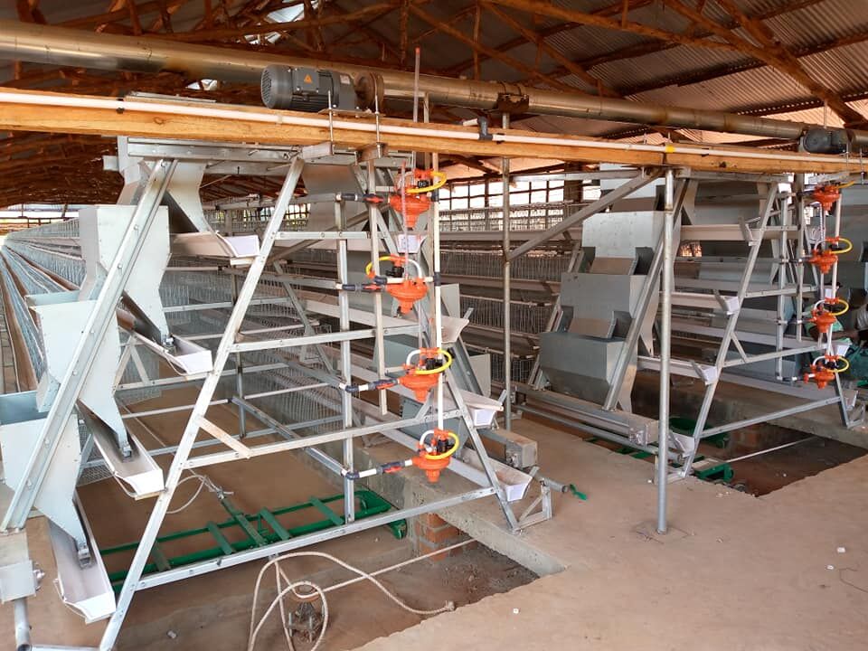 Composantes des cages à batteries automatiques