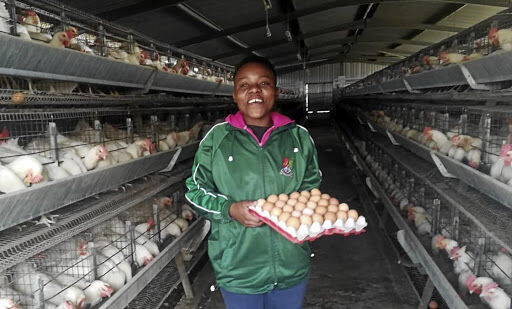 Quelle est la différence entre les cages importées pour élevage de volaille et les cages locales