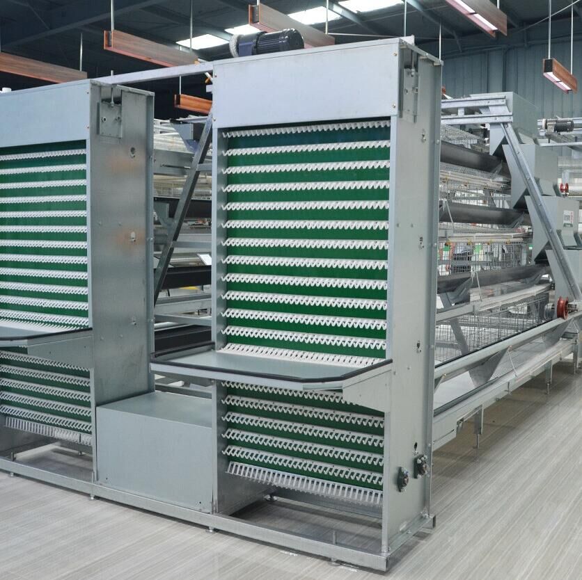 Manuel d'utilisation de la machine à collecter les œufs avec cage avicole à cadre A 4 niveaux