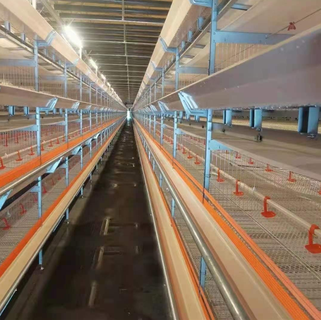 Nigeria poule automatique H type poulailler poule cage à vendre