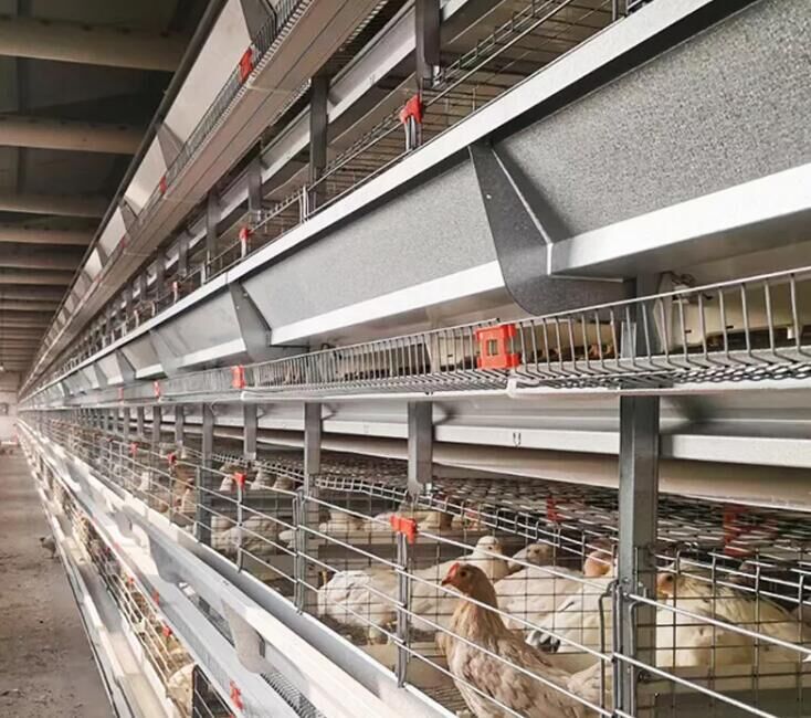 Systèmes automatiques pour cages à poulettes à cadre H