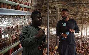 Augmentation plus élevée du taux de croissance des poulets de chair en batterie