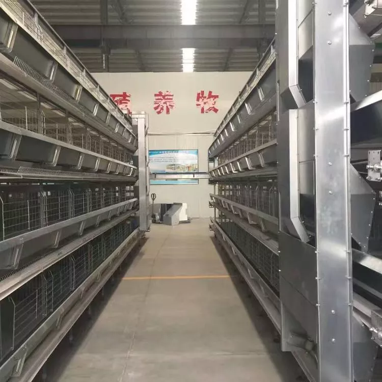Les connaissances utiles sur les cages en batterie de type H pour poules pondeuses sont généralement empilées en plusieurs niveaux conçus pour optimiser l'utilisation de l'espace