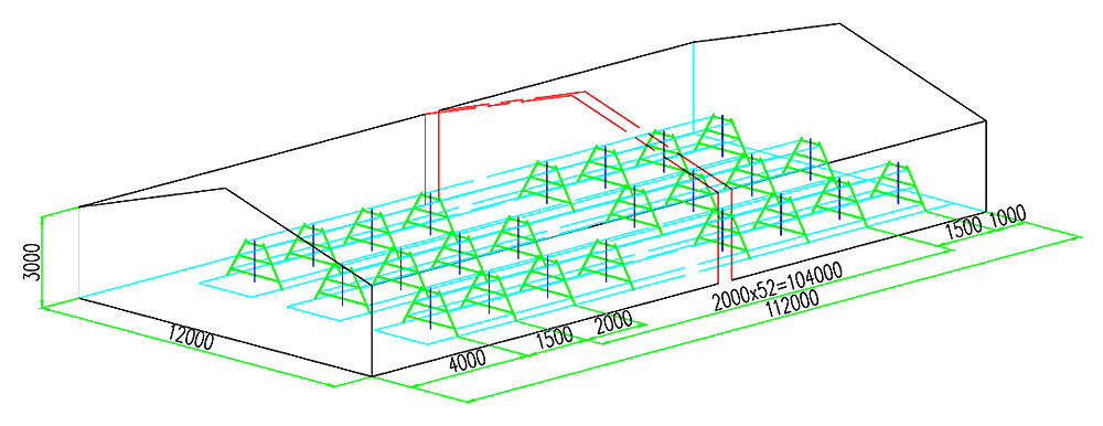 25,272 pullets A3 automatic pullet chicken cage's 