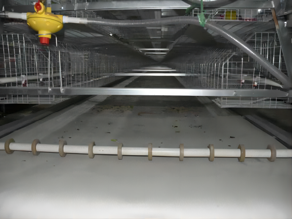 <30,000 Broilers Manual Harvest A Type Battery Cage