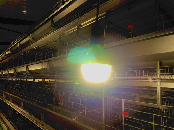 Système d'éclairage