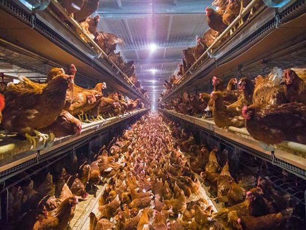 Système d'éclairage