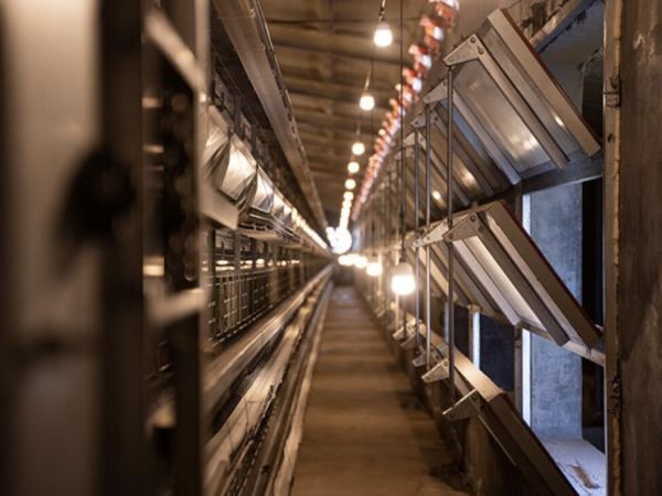 Système d'éclairage