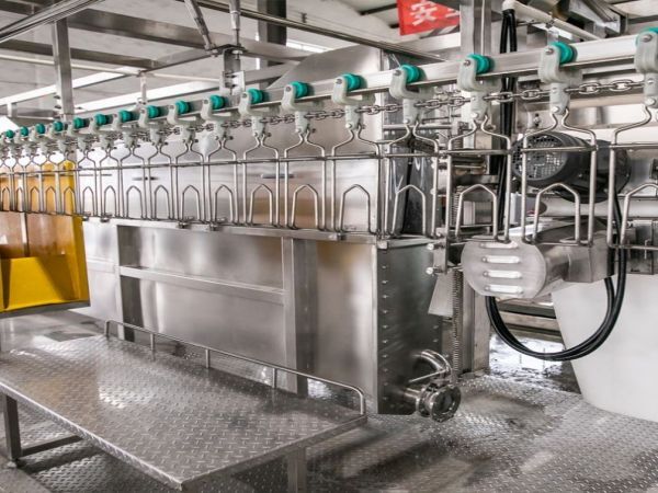 Ligne d'abattage automatique