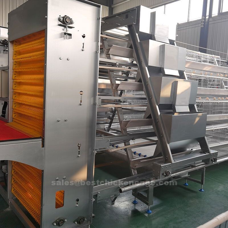 Advantages of 120 broiler farm equipment - battery chicken cage reduced feed waste and other hazards