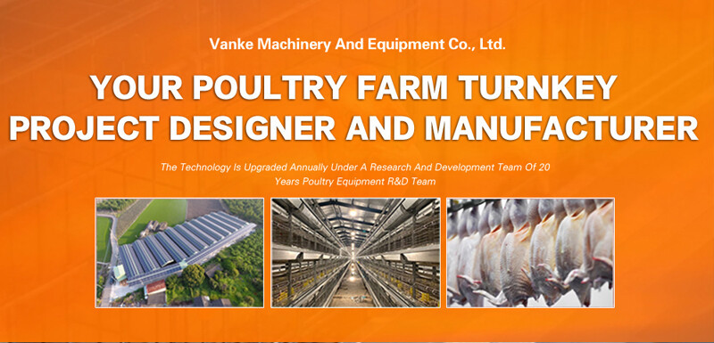 What is a broiler chicken battery cage typically made of steel or other durable materials can help reduce labor costs and improve efficiency
