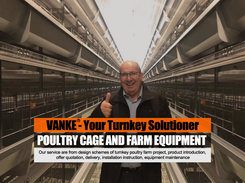 What is a broiler chicken battery cage typically made of steel or other durable materials can help reduce labor costs and improve efficiency