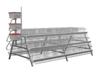 poultry battery cage 200 (2).png poultry battery cage 200 (2).png