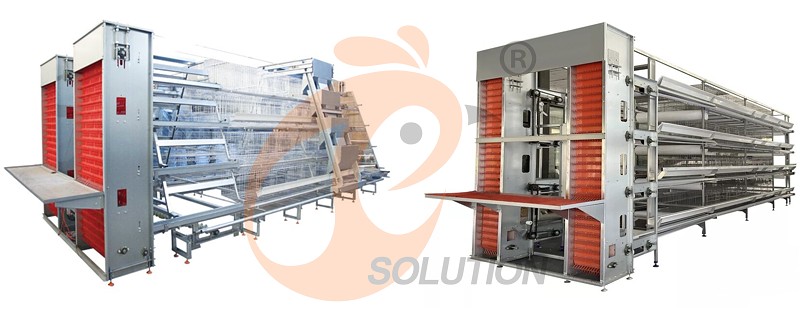 poultry battery cage (4).png poultry battery cage (4).png