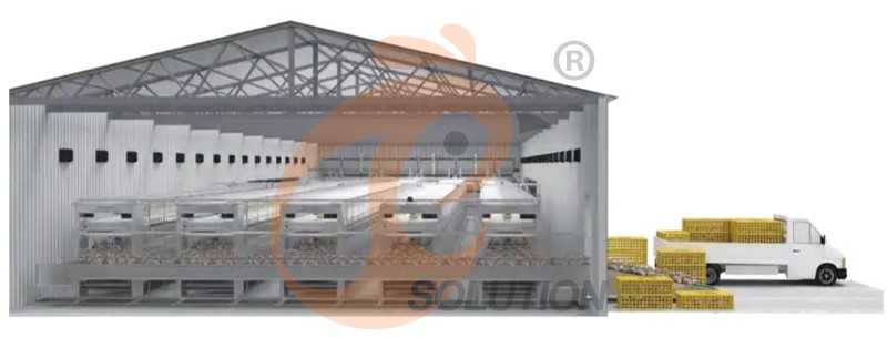 Nigeria poultry farm battery cage (2) Nigeria poultry farm battery cage (2)
