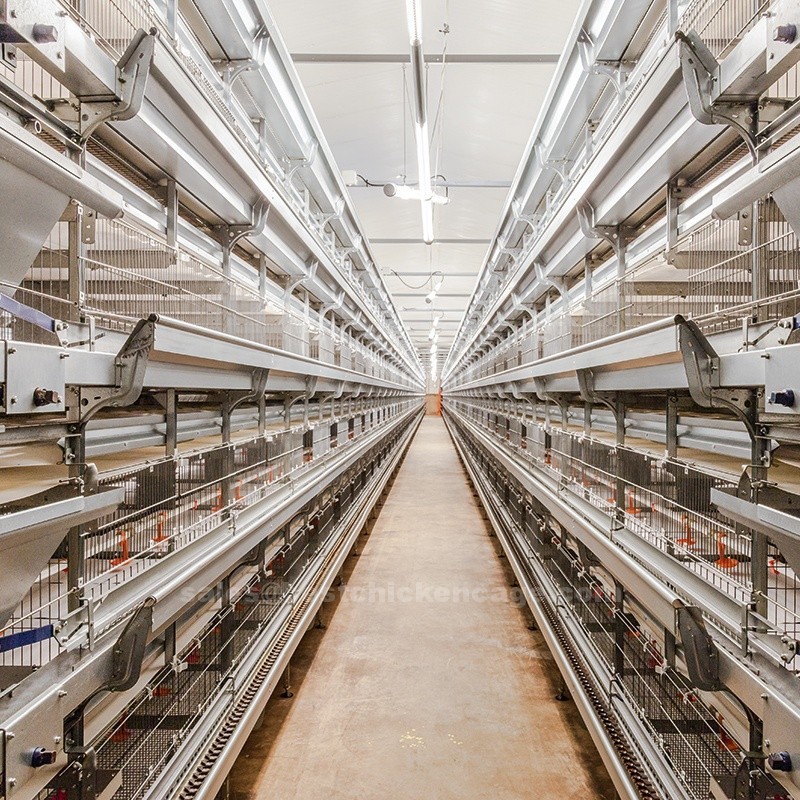 Do you know that advanced pullet poultry cage system used on farms are becoming popular among progressive farmers