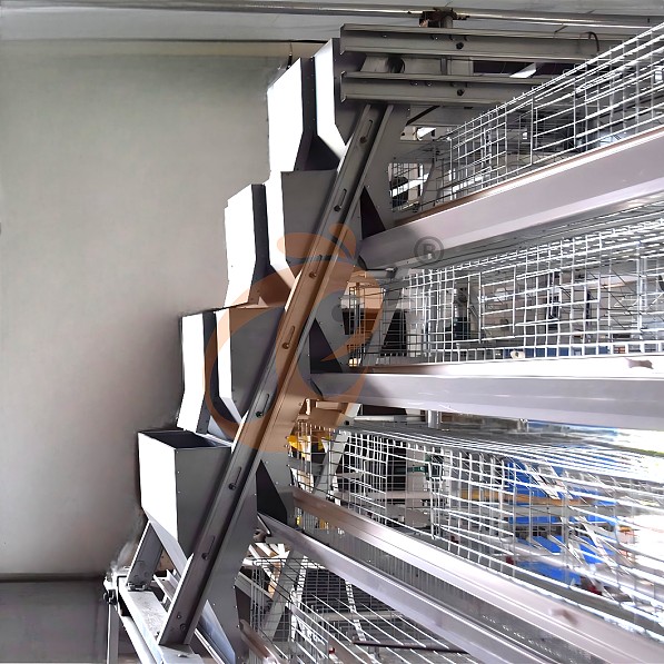 brooder battery cage system (9)