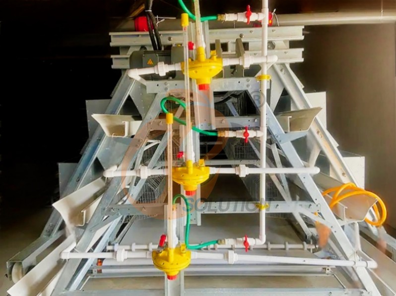 battery cage system for broiler (2) battery cage system for broiler (2)