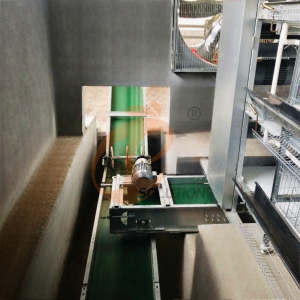 poultry manure cleaning (2)