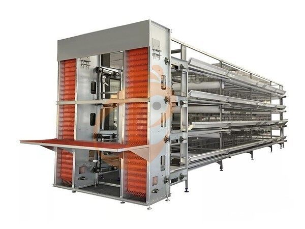 layer battery cage (24) layer battery cage (24)