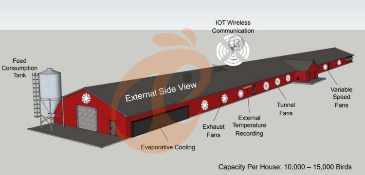 deep litter system (15)