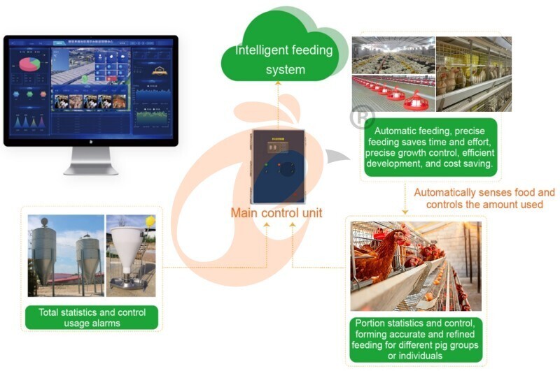 IOT poultry system-feed