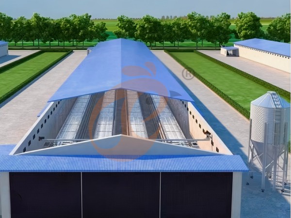 Prefab steel poultry house (2)