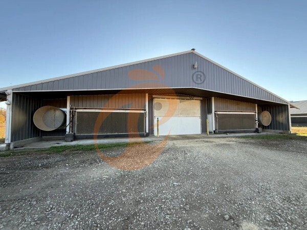 broiler poultry farm 5