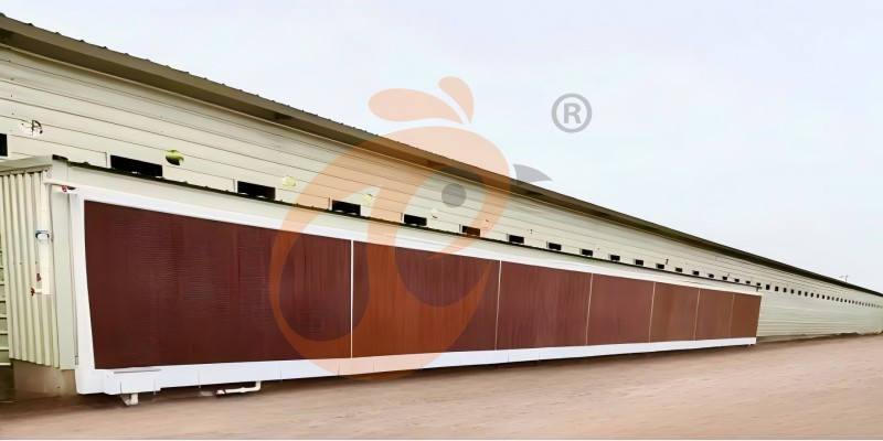 poultry house ventilation  (2)