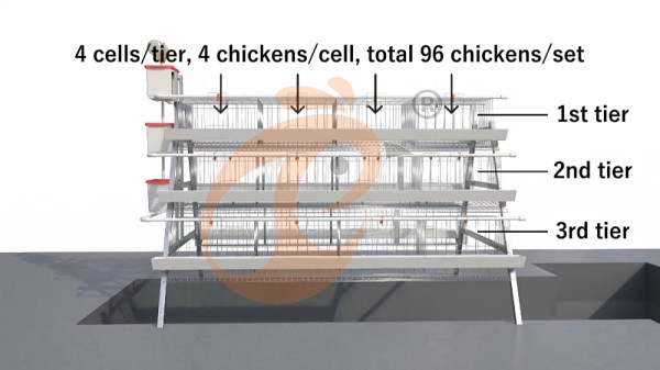 A Type layer battery cage system (2) A Type layer battery cage system (2)