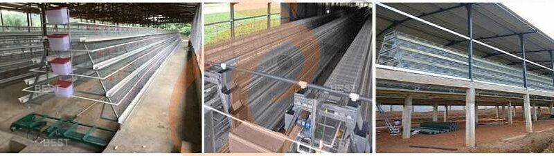 poultry farm.jpg poultry farm.jpg