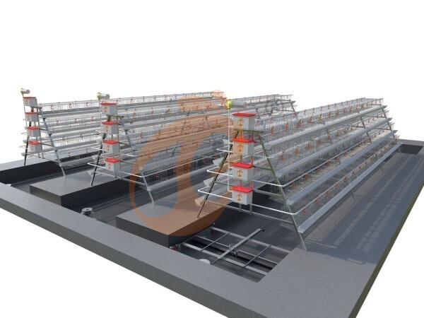 battery cage for layers (17) battery cage for layers (17)