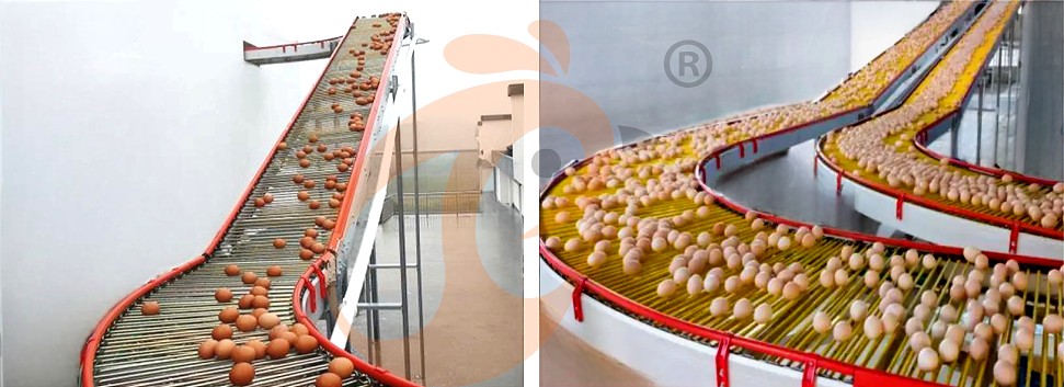 layer chicken cage H (16).png layer chicken cage H (16).png