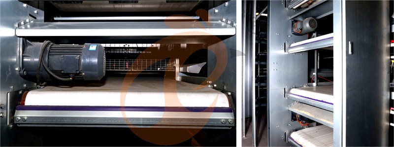 layer chicken cage H (15).png layer chicken cage H (15).png