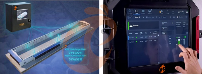 layer chicken cage A (7).png layer chicken cage A (7).png