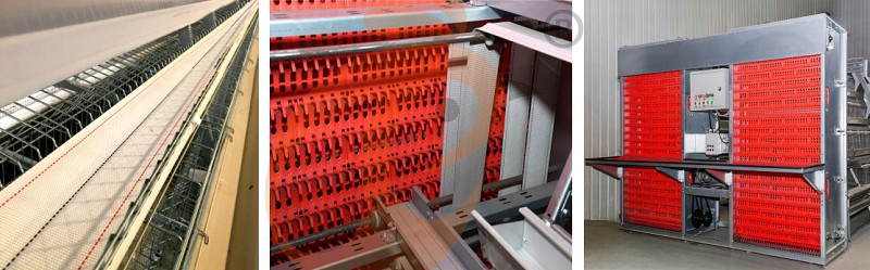 layer chicken cage (4).png layer chicken cage (4).png