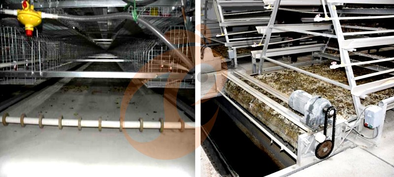 layer chicken cage (6).png layer chicken cage (6).png