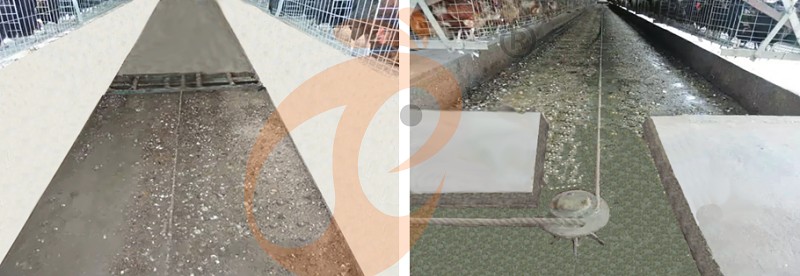 layer chicken cage (3).png layer chicken cage (3).png