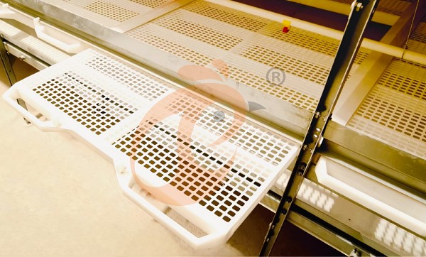 broiler battery cage (25)