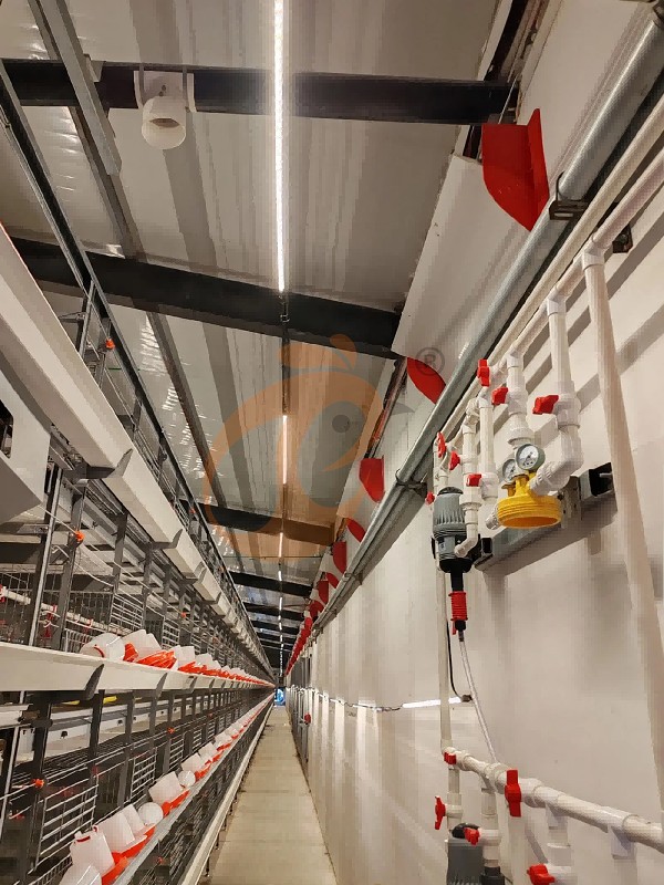 broiler battery cage (20)