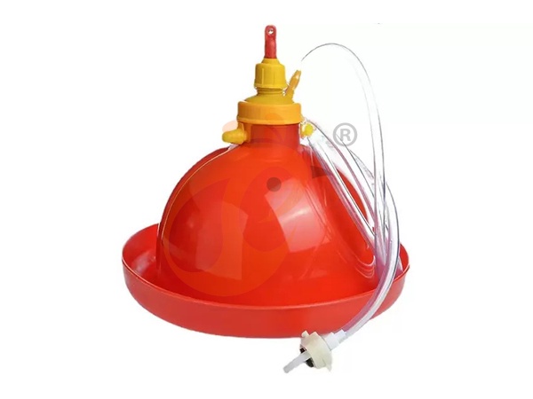 فرع نيجيريا يقدم خطة عمل مزرعة دواجن، تصنيع معدات مزرعة دواجن