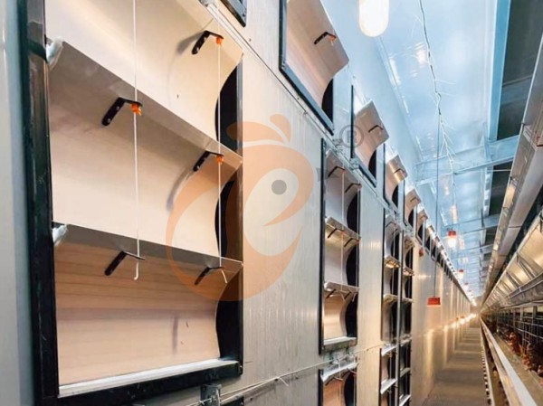 air inlet window (6)