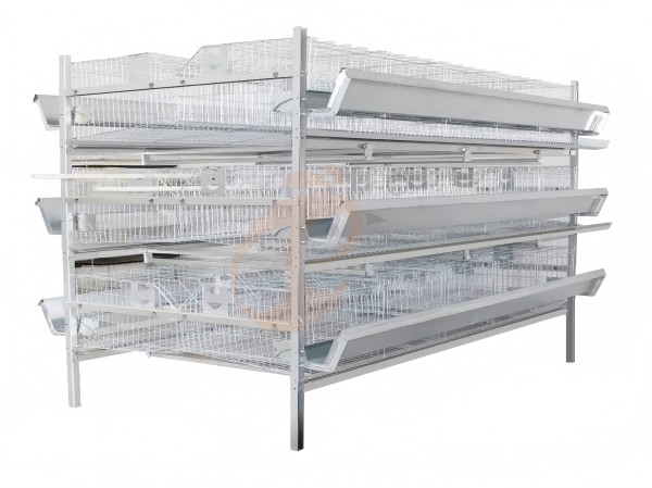 pullet chicken cage 3